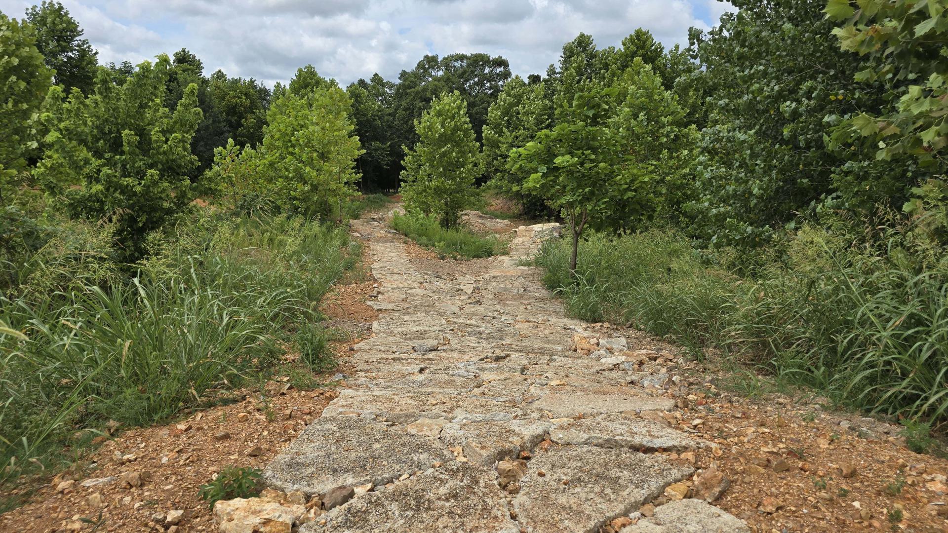 Forking trail with surface made of flat stones with smaller rocks on sides