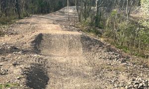 Dirt path in a wooded area, with small hills and patches of sunlight.
